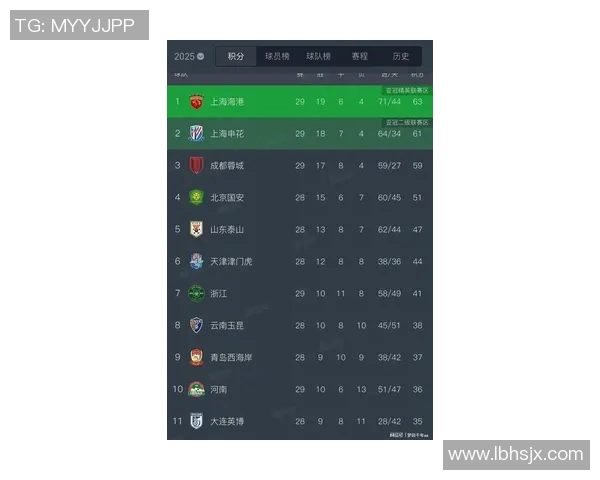 广州足球队在全国锦标赛积分榜上以81分稳居第一名展现强劲实力
